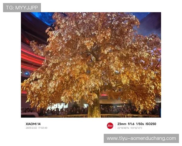 澳门永利皇宫发财树的养护误区与正确养护方法解析 澳门永利皇宫发财树的养护误区与正确养护方法解析