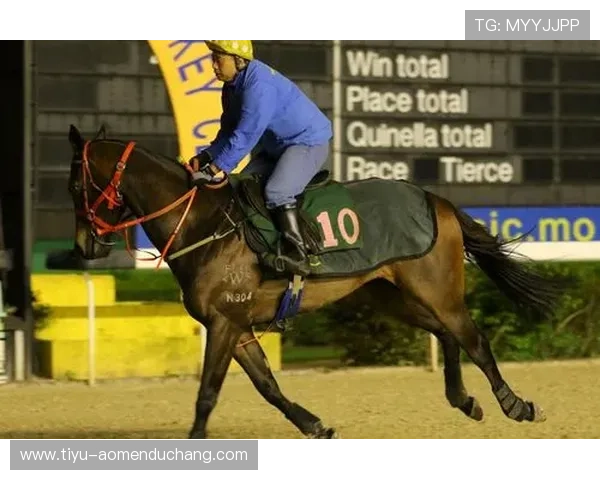 澳门赛马今天的赛事数据统计与成绩分析报告 澳门赛马今天的赛事数据统计与成绩分析报告