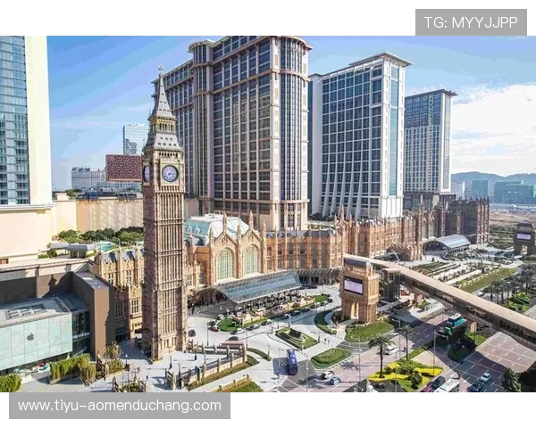 澳门伦敦人名汇官网的服务项目与特色介绍，全面展现平台优势与专属资源